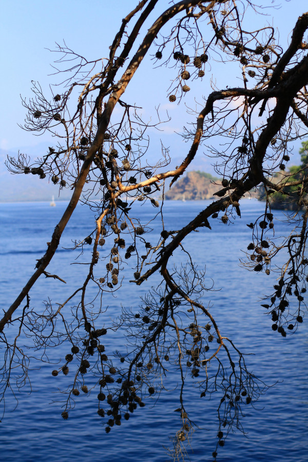 5 причин провести медовый месяц в Турции