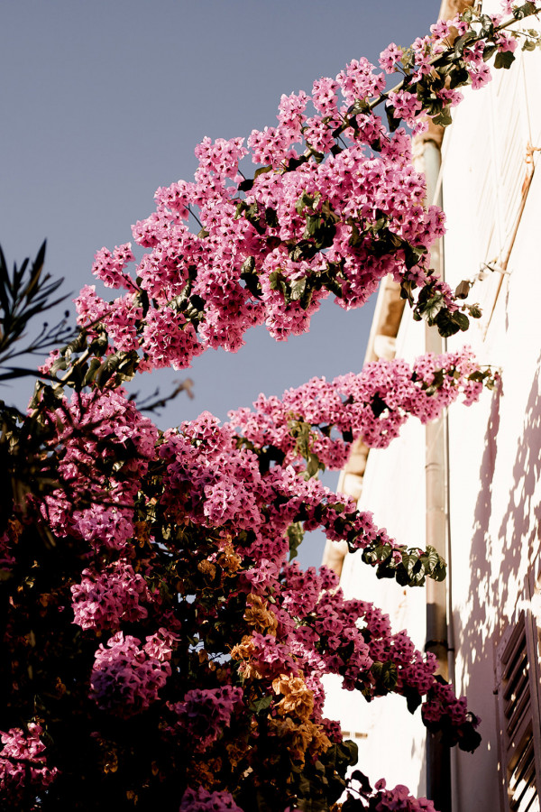 Осенняя свадьба на побережье Хорватии
