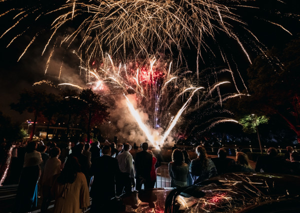 Площадки Olymp Junior