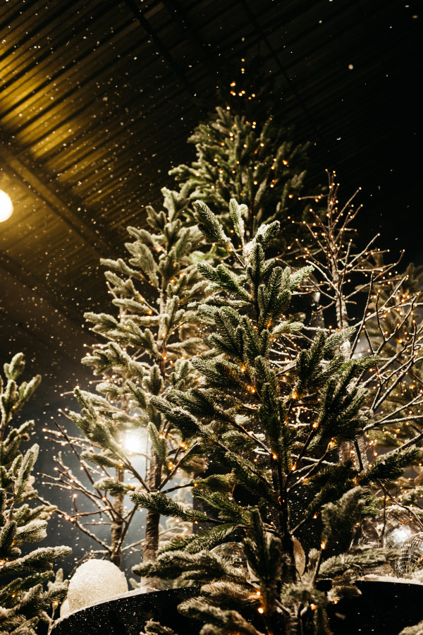 LID’S EVENTHOUSE: WE ARE 15!