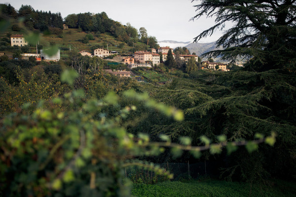 Свадьба на озере Брайес с церемонией в