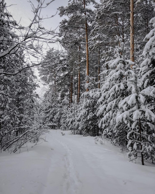 Чек-лист жениха и невесты: 6 вдохновляющих дел