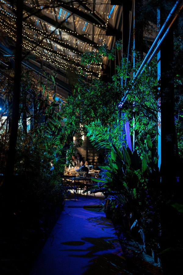 Свадьба в ботаническом саду