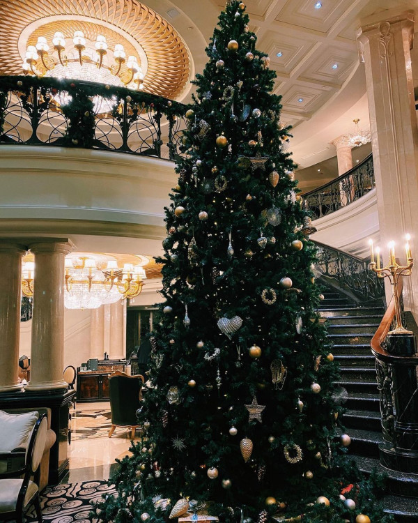 Где провести новогоднюю ночь? Специальные предложения в