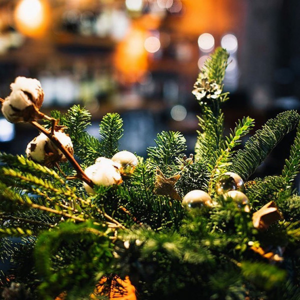 Где провести новогоднюю ночь? Специальные предложения в