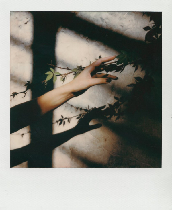 «Пары говорят, что их завораживает загадочная чувственность