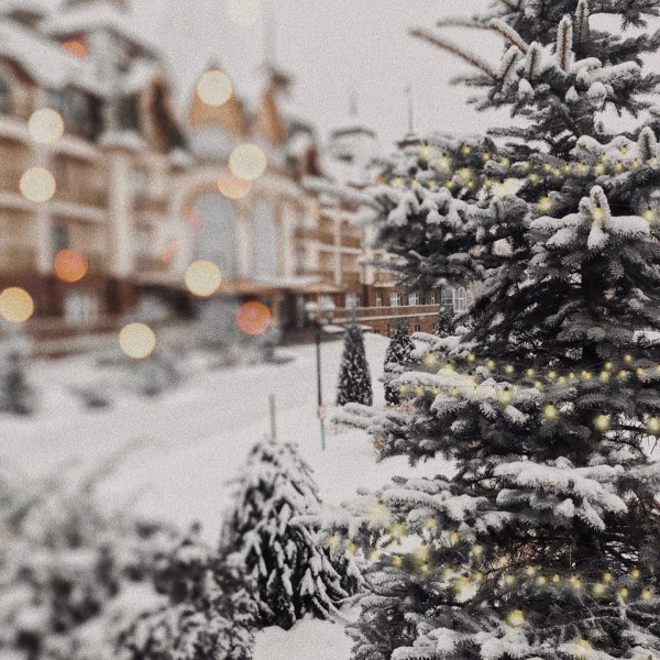 Где провести новогоднюю ночь? Специальные предложения в