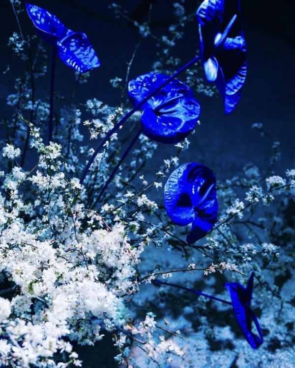 7 идей цветного оформления