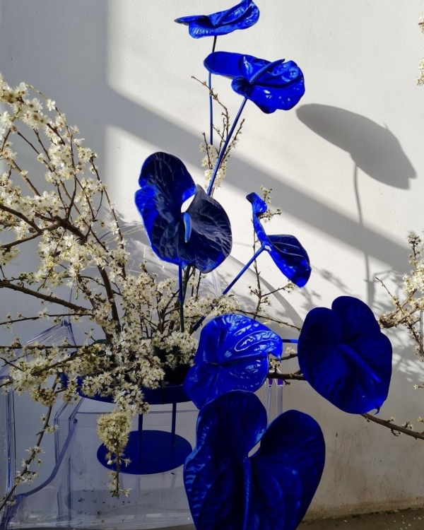 7 идей цветного оформления