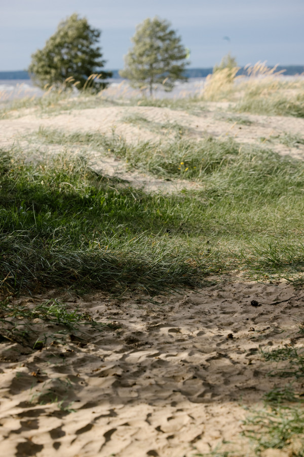 Вспоминая лето: о проекте Cheers на берегу