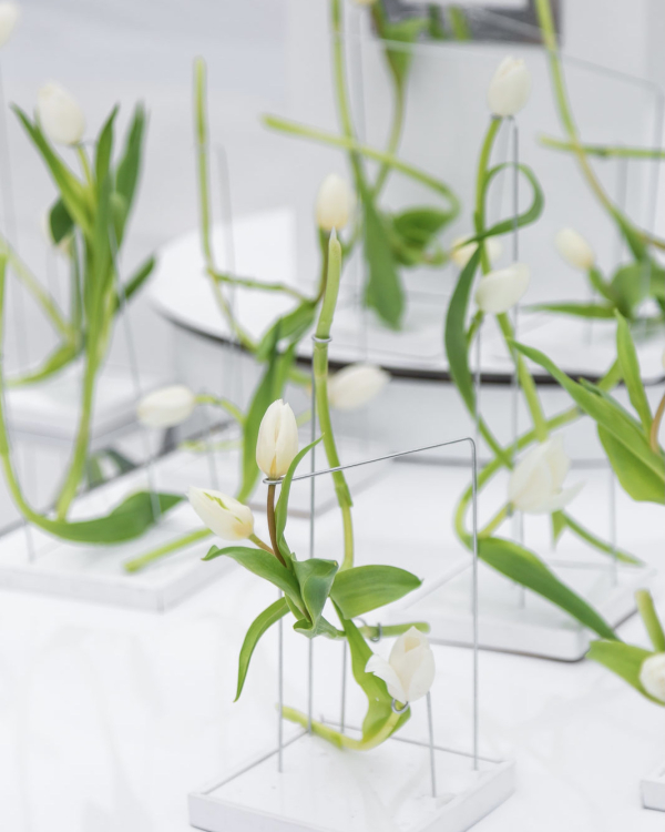 Самые яркие проекты RDecor