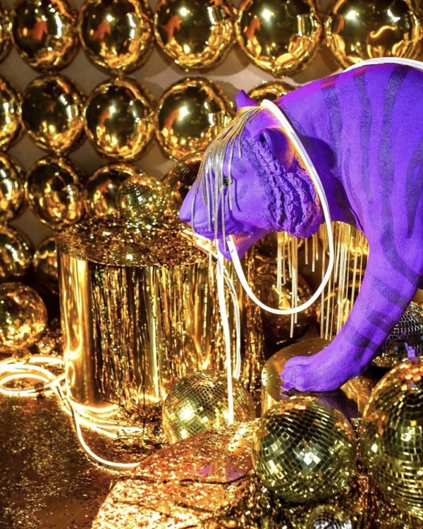 7 идей цветного оформления