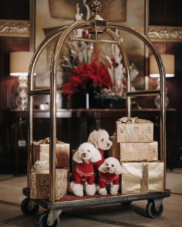 Новогодние каникулы в ЛОТТЕ