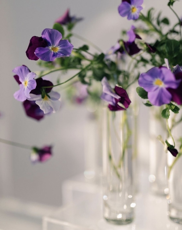 7 идей цветного оформления