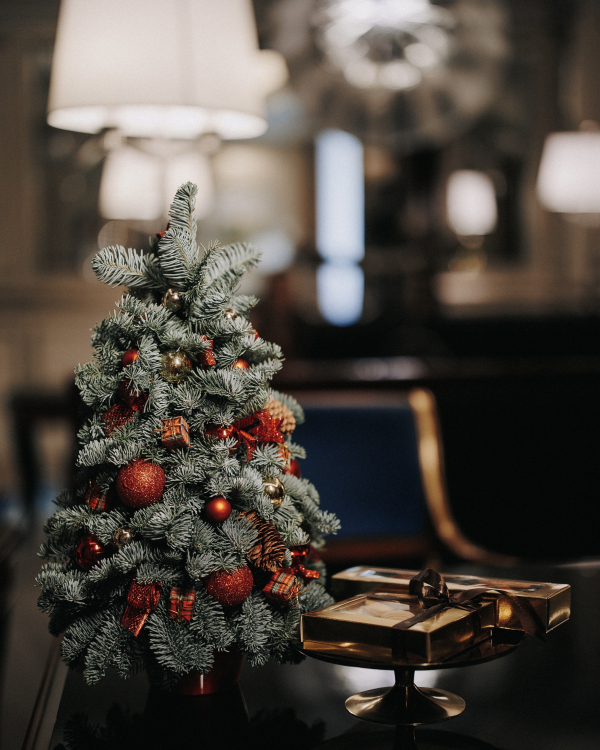 Новогодние каникулы в ЛОТТЕ