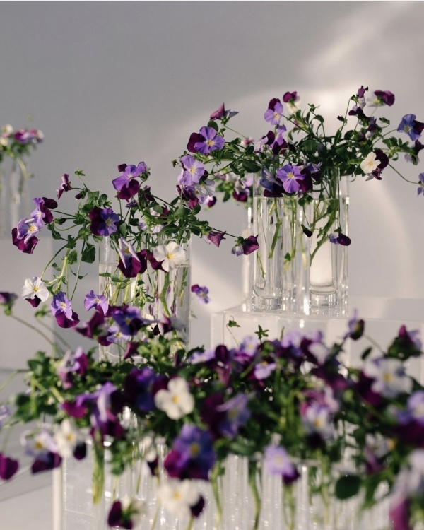 7 идей цветного оформления