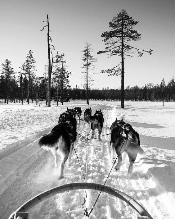 Как провести новогодние каникулы в Москве