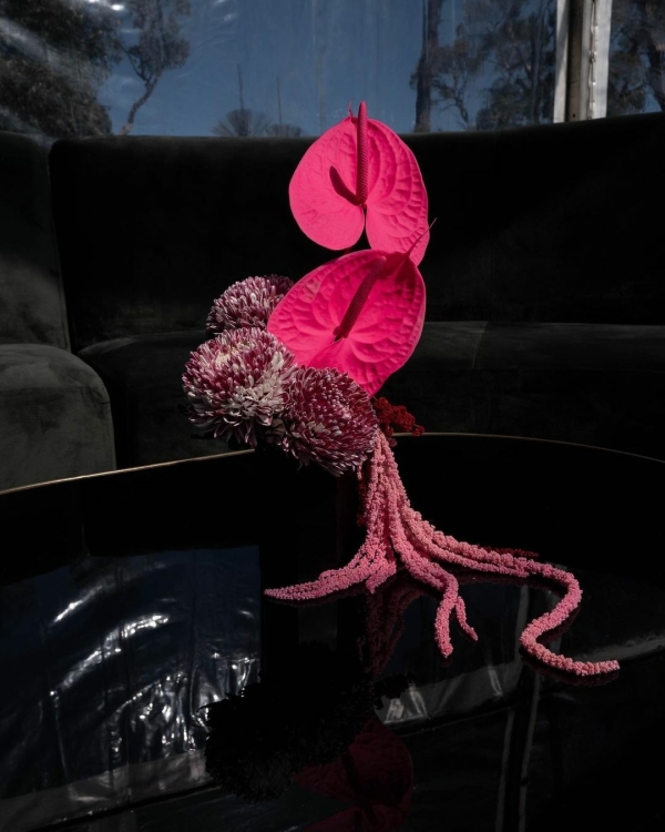 Viva Magenta — цвет 2023 года по