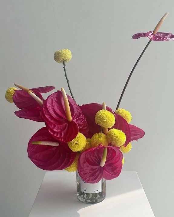 Viva Magenta — цвет 2023 года по