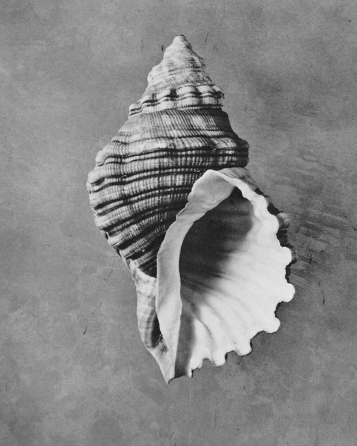 Бьюти-гороскоп на январь: когда делать стрижки, окрашивание,