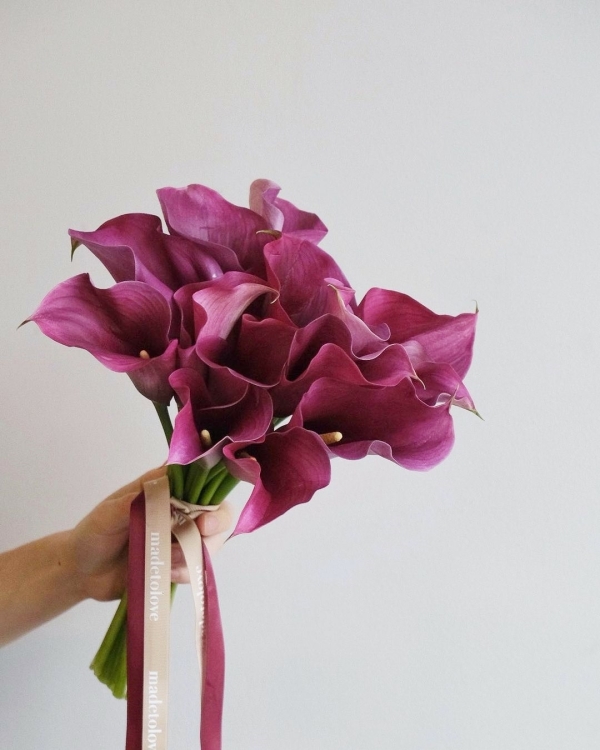 Viva Magenta — цвет 2023 года по