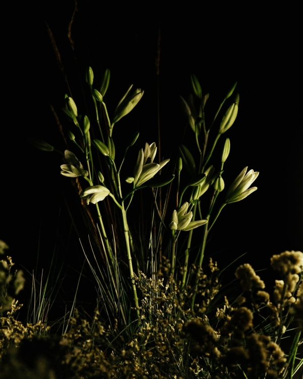 Футуристичный свадебный декор с парящими цветами, сложной