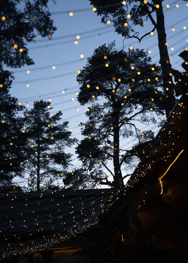 Фотографы Татьяна Созонова