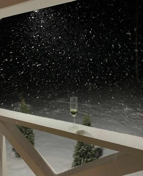 Как встретить Новый год одному?