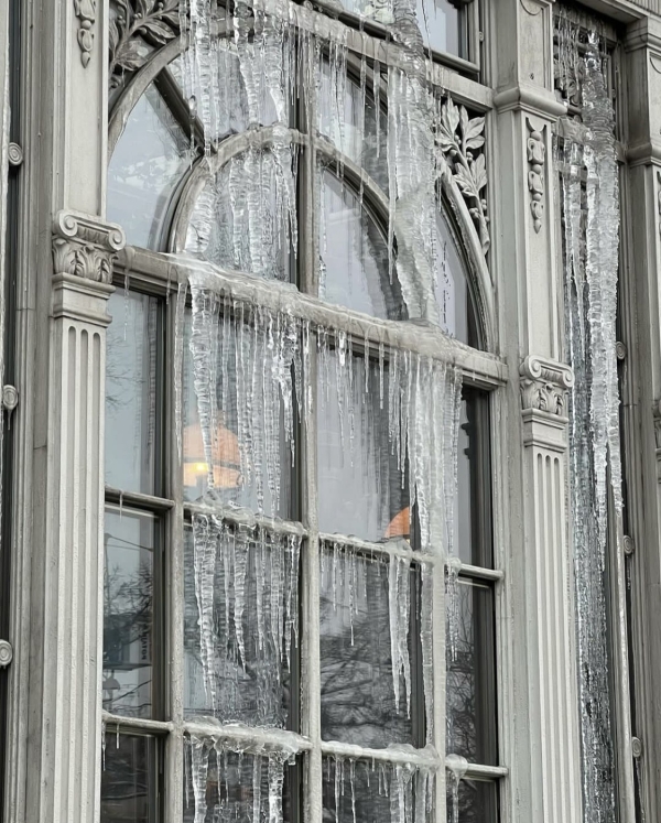 Еловый лес в Ресторане Lila, розовый свитер