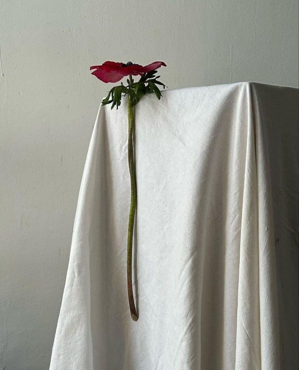 Кризисы в отношениях — это страшно? Конечно,