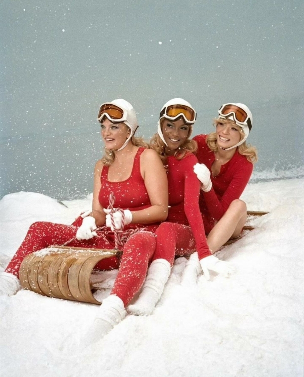 Что положить под елку (вашей любимой) редакции?