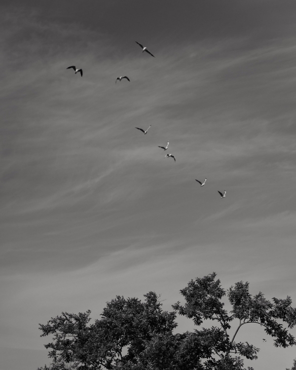 Интервью с невестой: об отношениях на расстоянии,