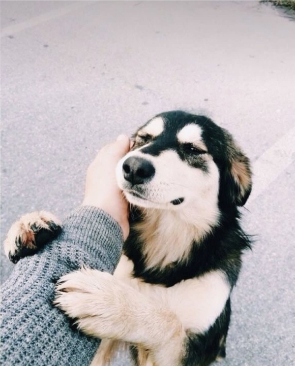 «It’s a Strike!» в боулинг-клубе «Дорожка», разбор