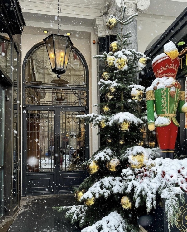 Еловый лес в Ресторане Lila, розовый свитер