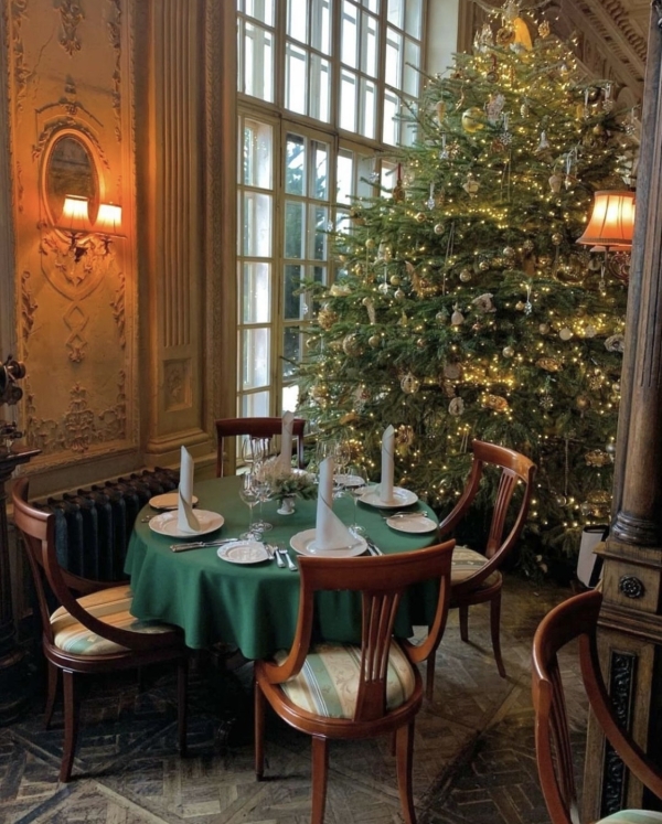 Еловый лес в Ресторане Lila, розовый свитер