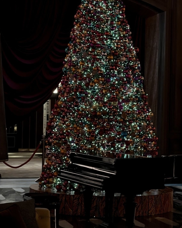 Встретьте Новый год 2024 изысканно в одном