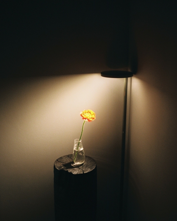 Сет-дизайн, AI и много розового. Показываем самые