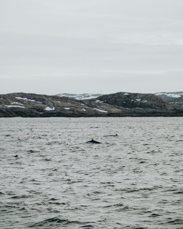 От «Золотого кольца» до Камчатки: 10 небанальных