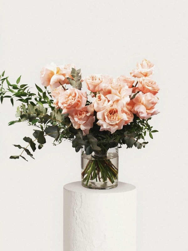 Peach Fuzz — цвет 2024 года по версии