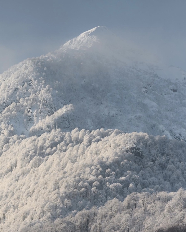 А что если провести новогодние каникулы в