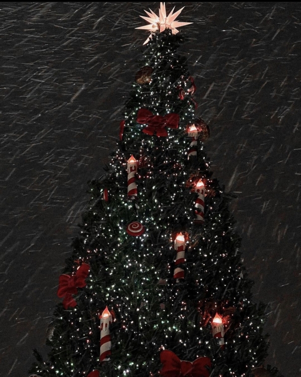 Christmas market в особняке XIX века, «Щелкунчик»