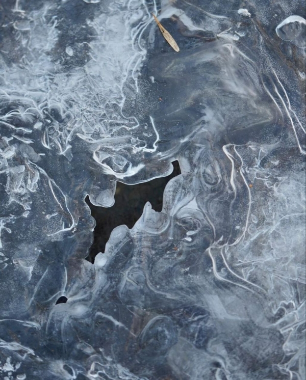 «Давай на каток?»: Гид по главным каткам