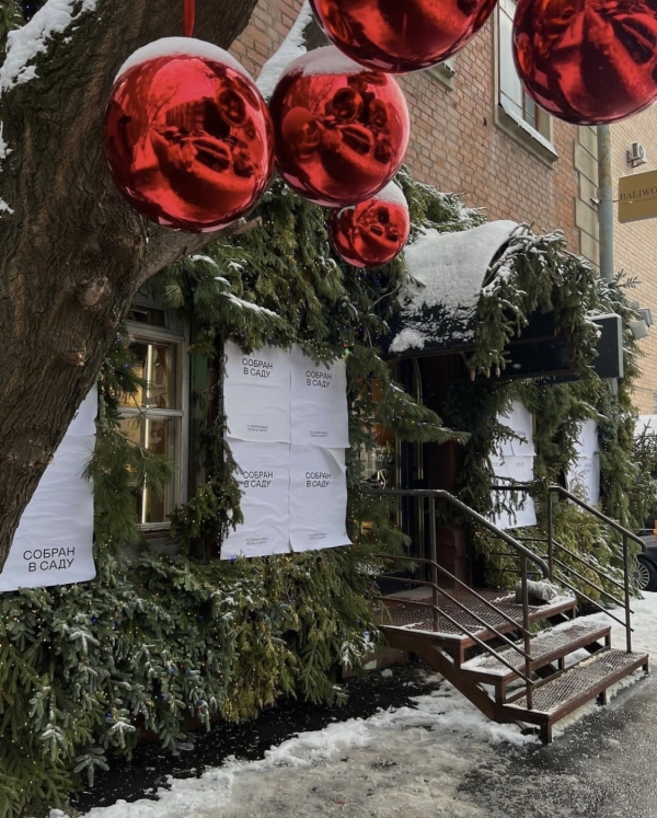 Еловый лес в Ресторане Lila, розовый свитер