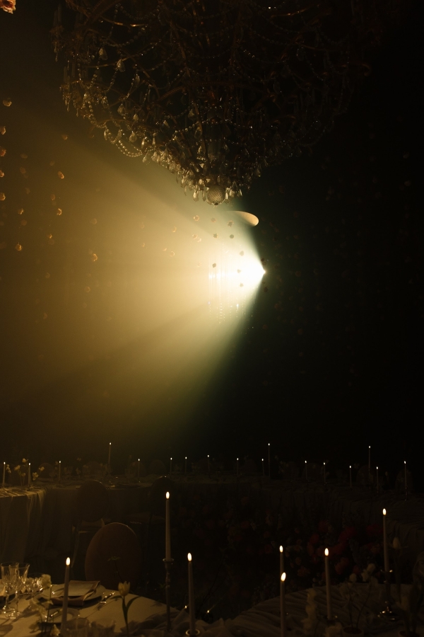 Метафорический сад во дворце Елисеевых: история декора,