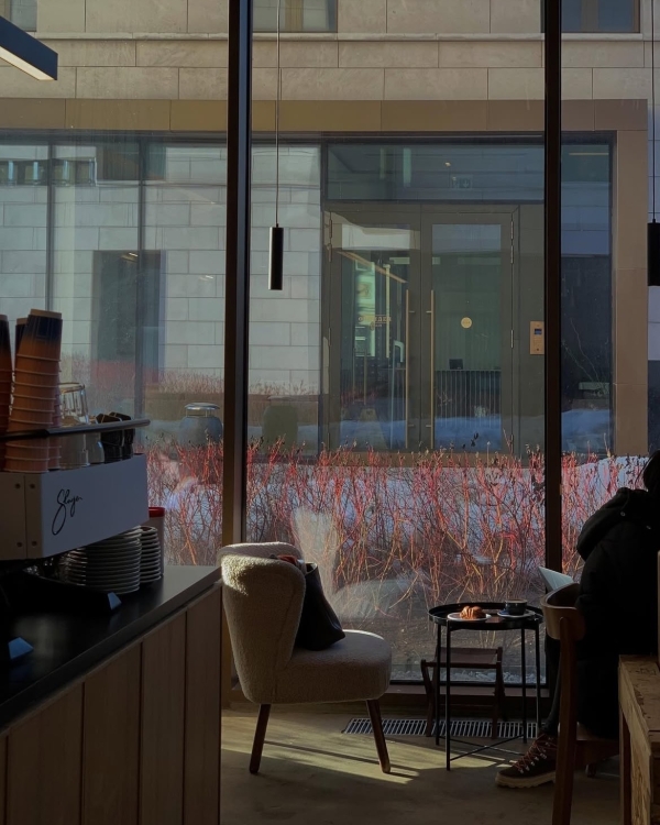 Амфитеатр в «ГЭС-2», библиотека на Чистых прудах