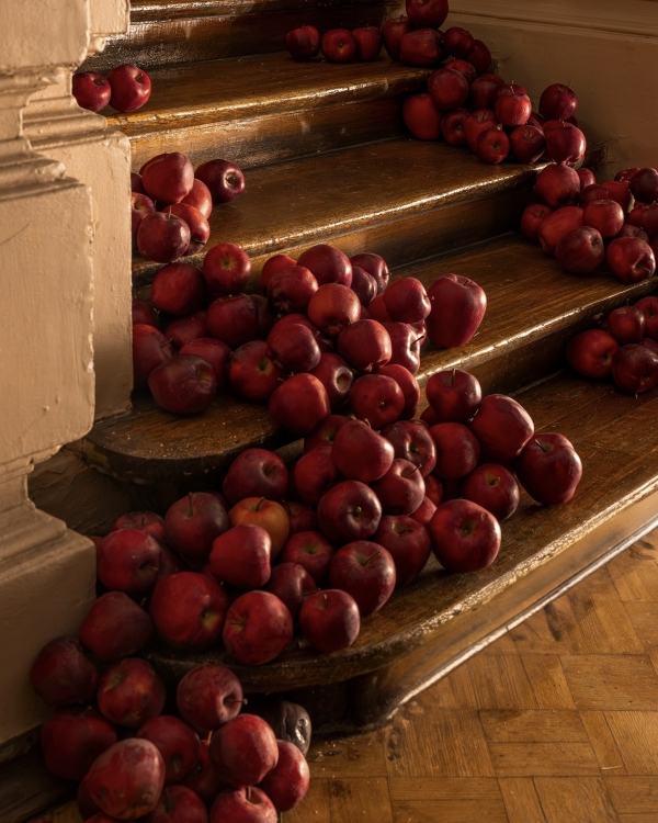 Тотальный красный, развалы урожая и лыковые косы: