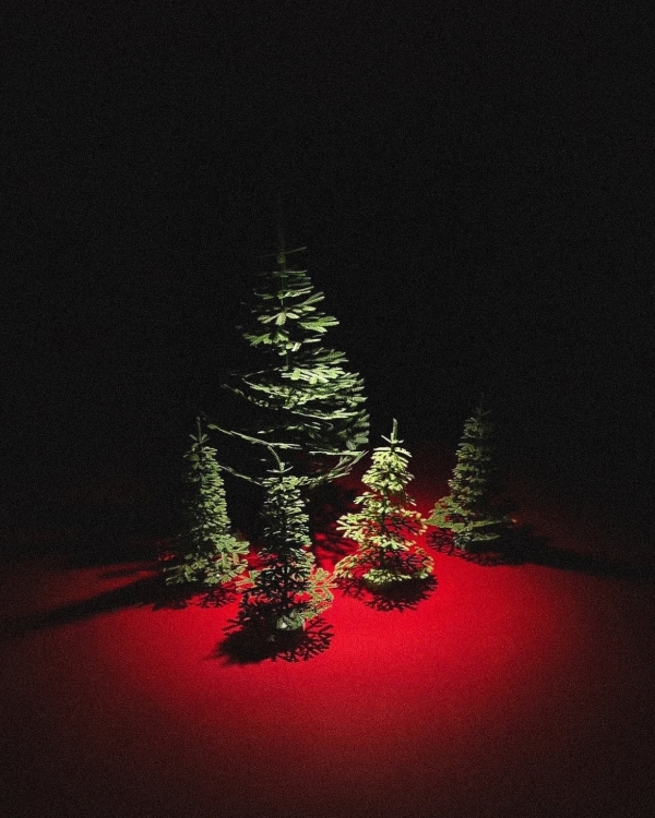 Ура, каникулы! Чем заняться на январские праздники