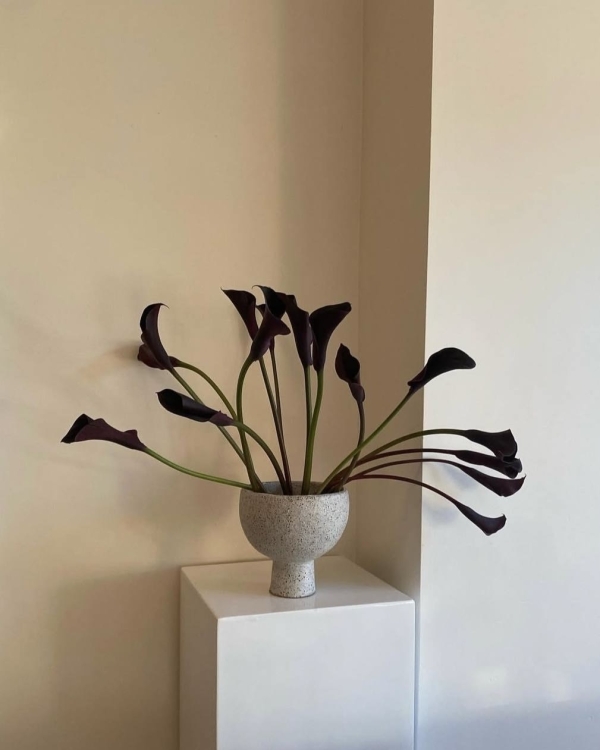 Mocha Mousse — цвет 2025 года по