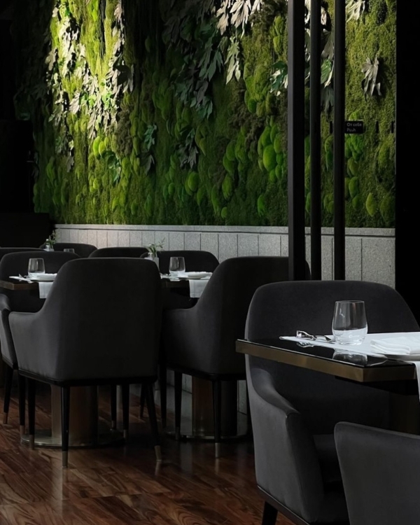 Пока часы двенадцать бьют. Новогодние программы 2025