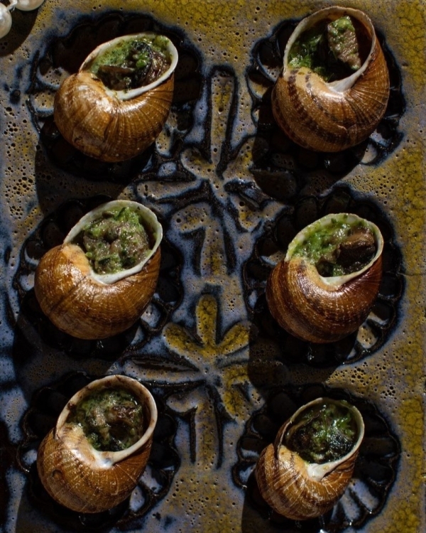 Празднуем Новый год 2025 гастрономично. Лучшие программы